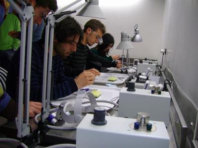 corso_endodonzia_bari_dr_carrieri_2480_211109121255 - Gallery Corsi e serate di Endodonzia