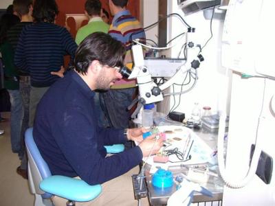 corso_endodonzia_bari_dr_carrieri_2492_211109121255 - Gallery Corsi e serate di Endodonzia