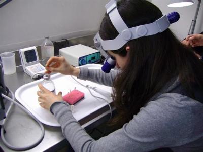 corso_endodonzia_bari_dr_carrieri_2494_211109121255 - Gallery Corsi e serate di Endodonzia